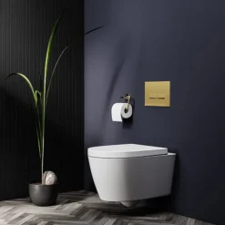 Arezzo Compact Top/Front Flush Toilet Frame With Brushed Brass Flush - Square Buttons -Shower Room Shop azcfsbb detail01