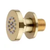 Arezzo Brushed Brass Body Jet - 1 X Slim Round Jet -Shower Room Shop azrdjbb d4