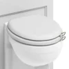 Burlington Soft Close Toilet Seat With Chrome Hinges And Handles - Matt White -Shower Room Shop s45a51chr d1